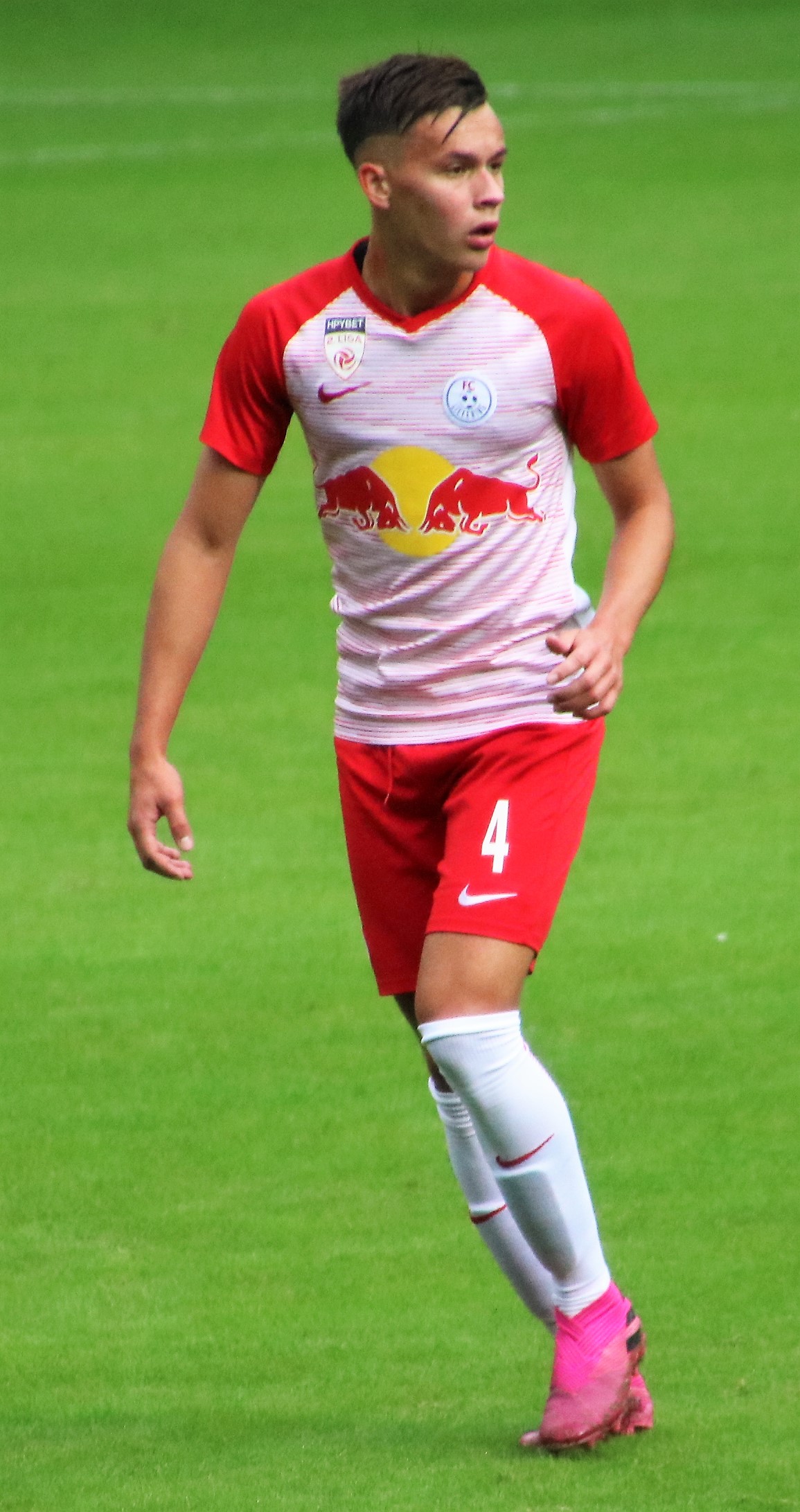 A. Dedić
