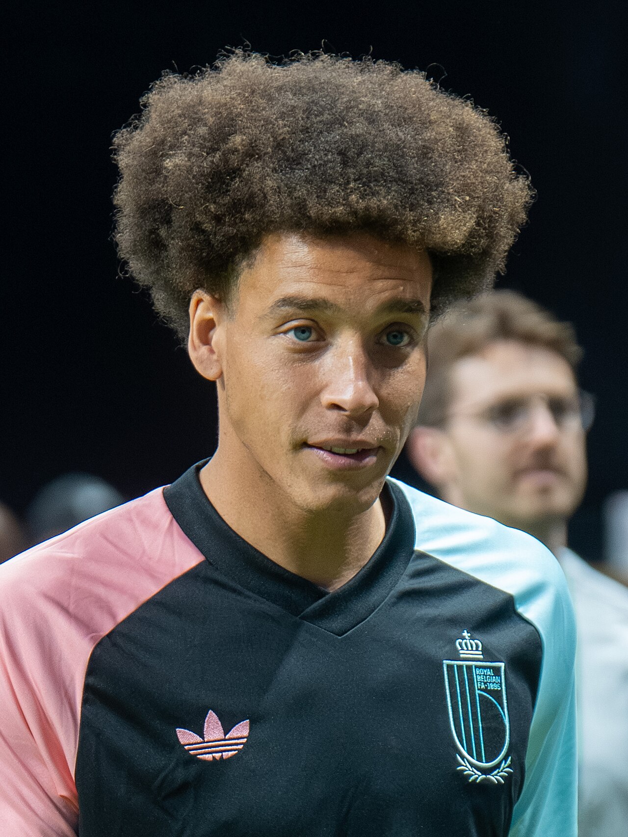 A. Witsel