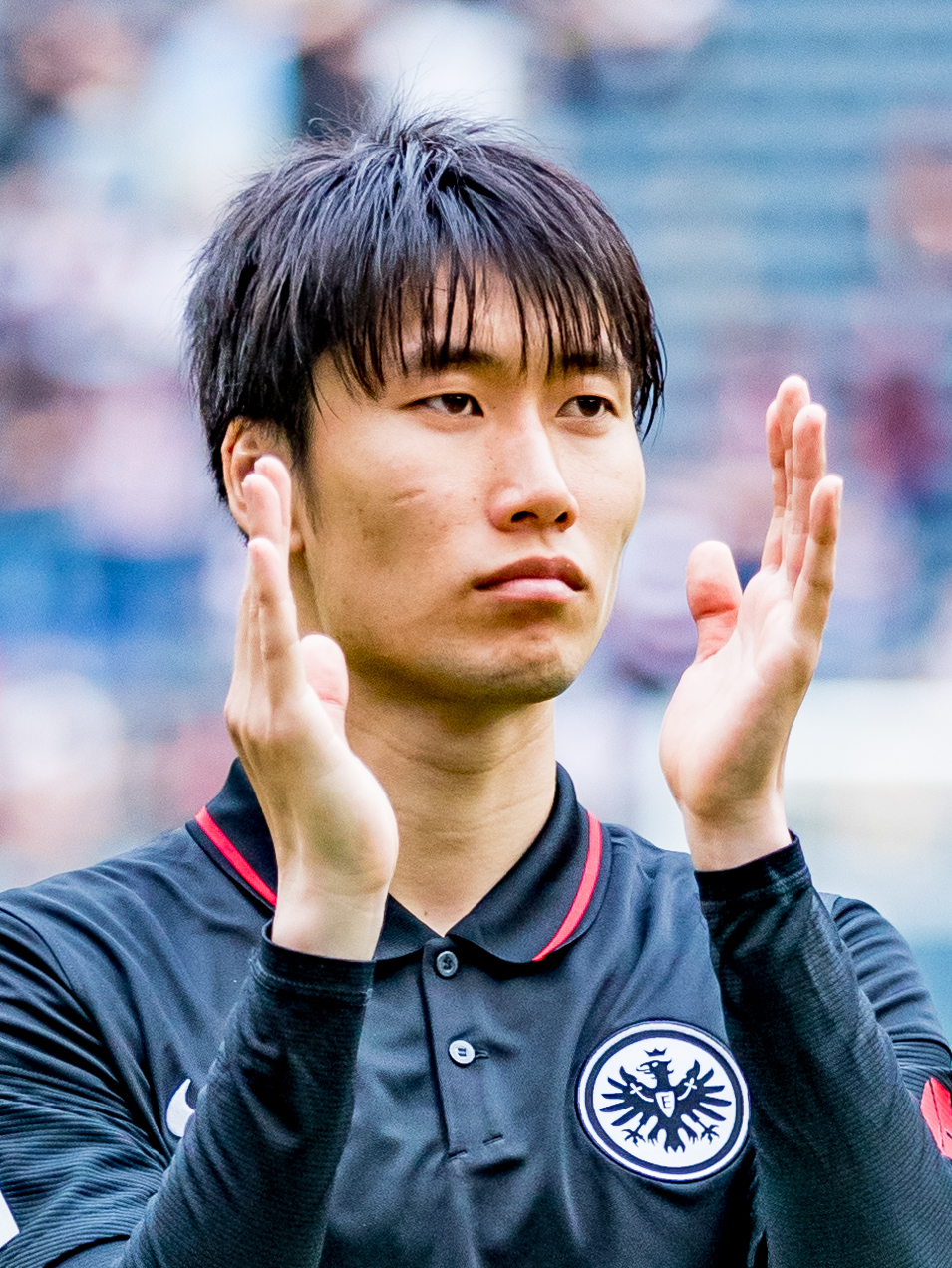 D. Kamada