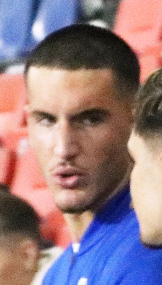 D. Gül