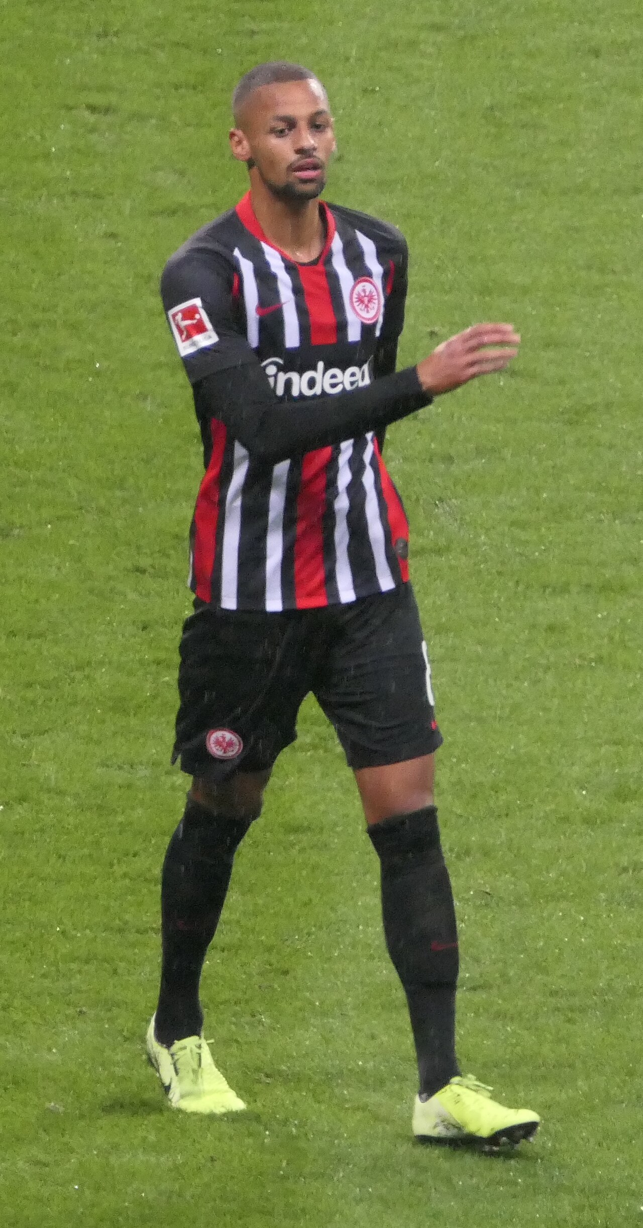 D. Sow