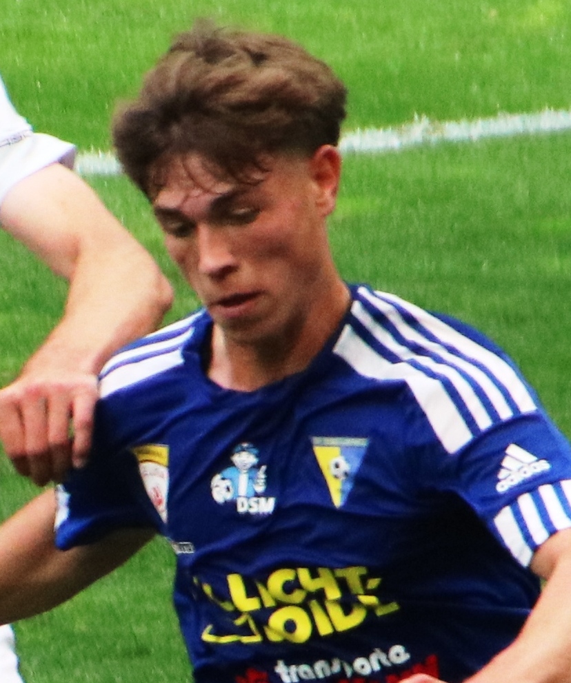 Ermin Mahmić