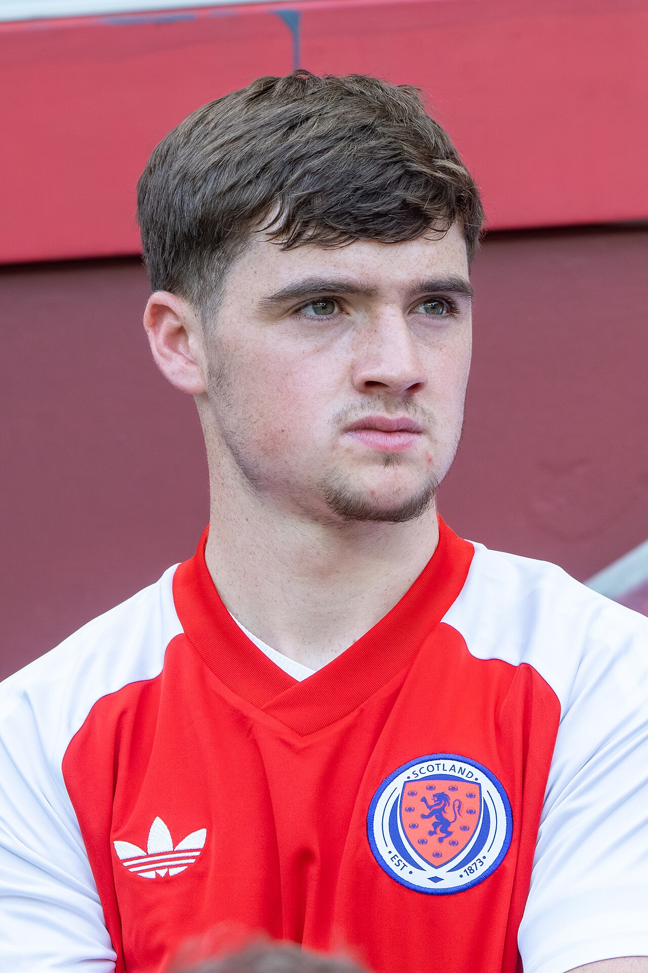 Findlay Curtis