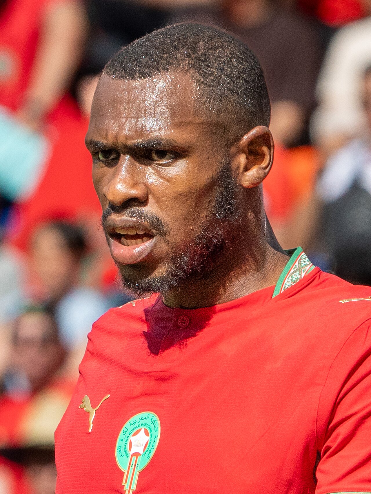 I. Diop