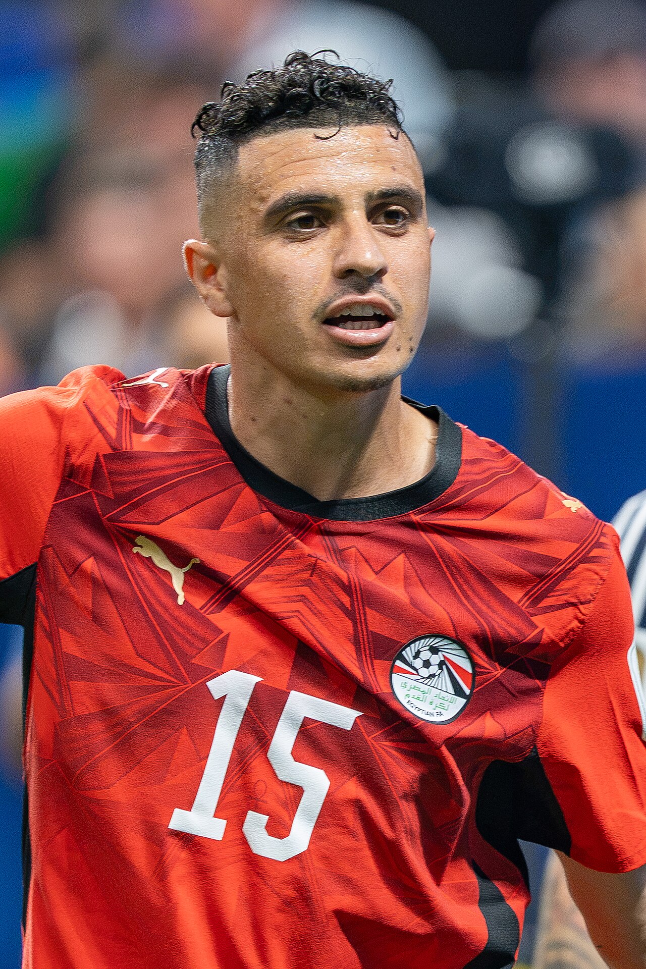 Karim Hafez