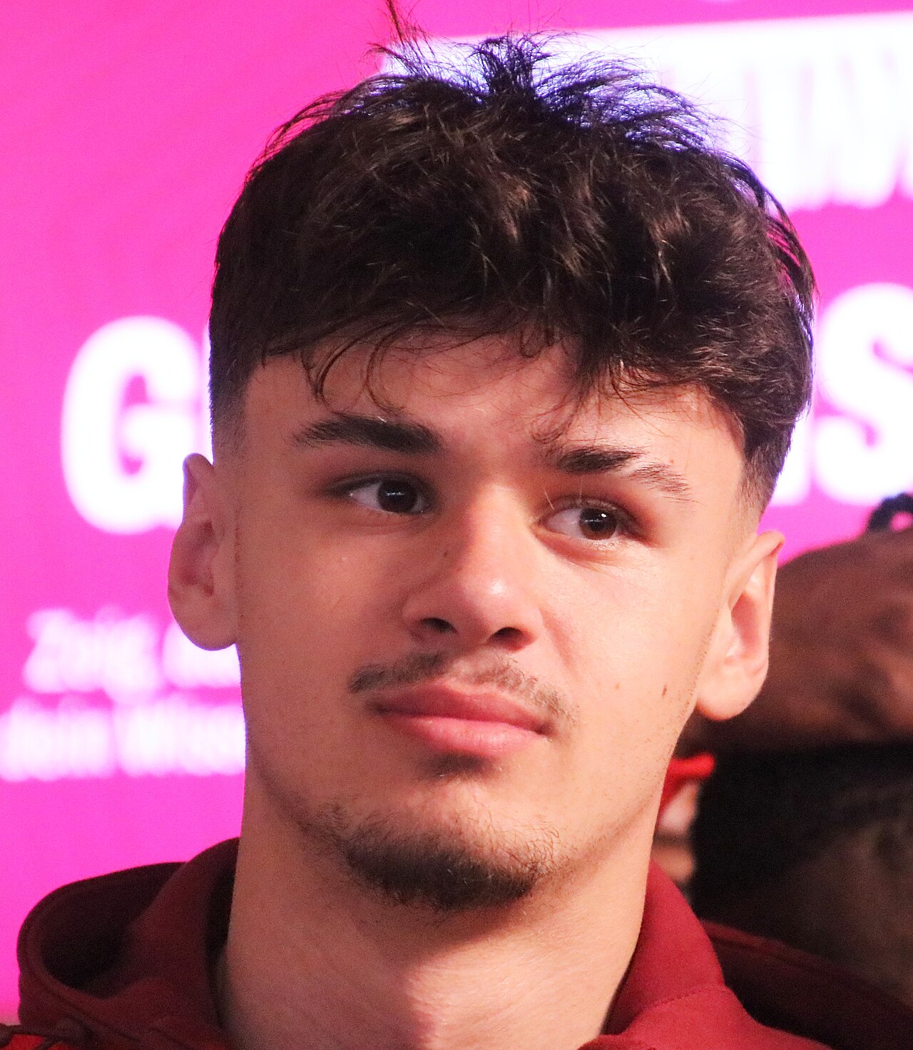 Kerim-Sam Alajbegović