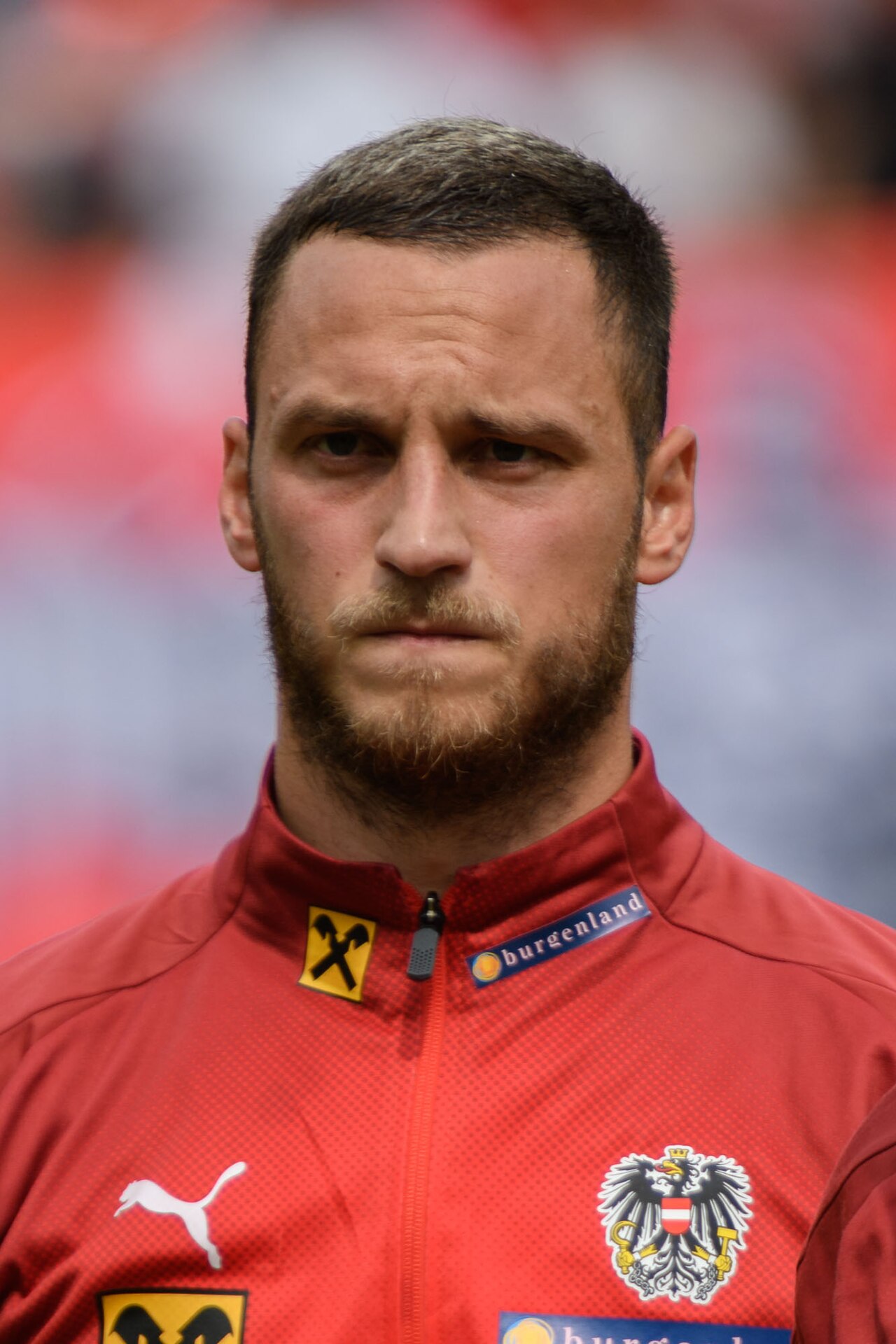 M. Arnautović