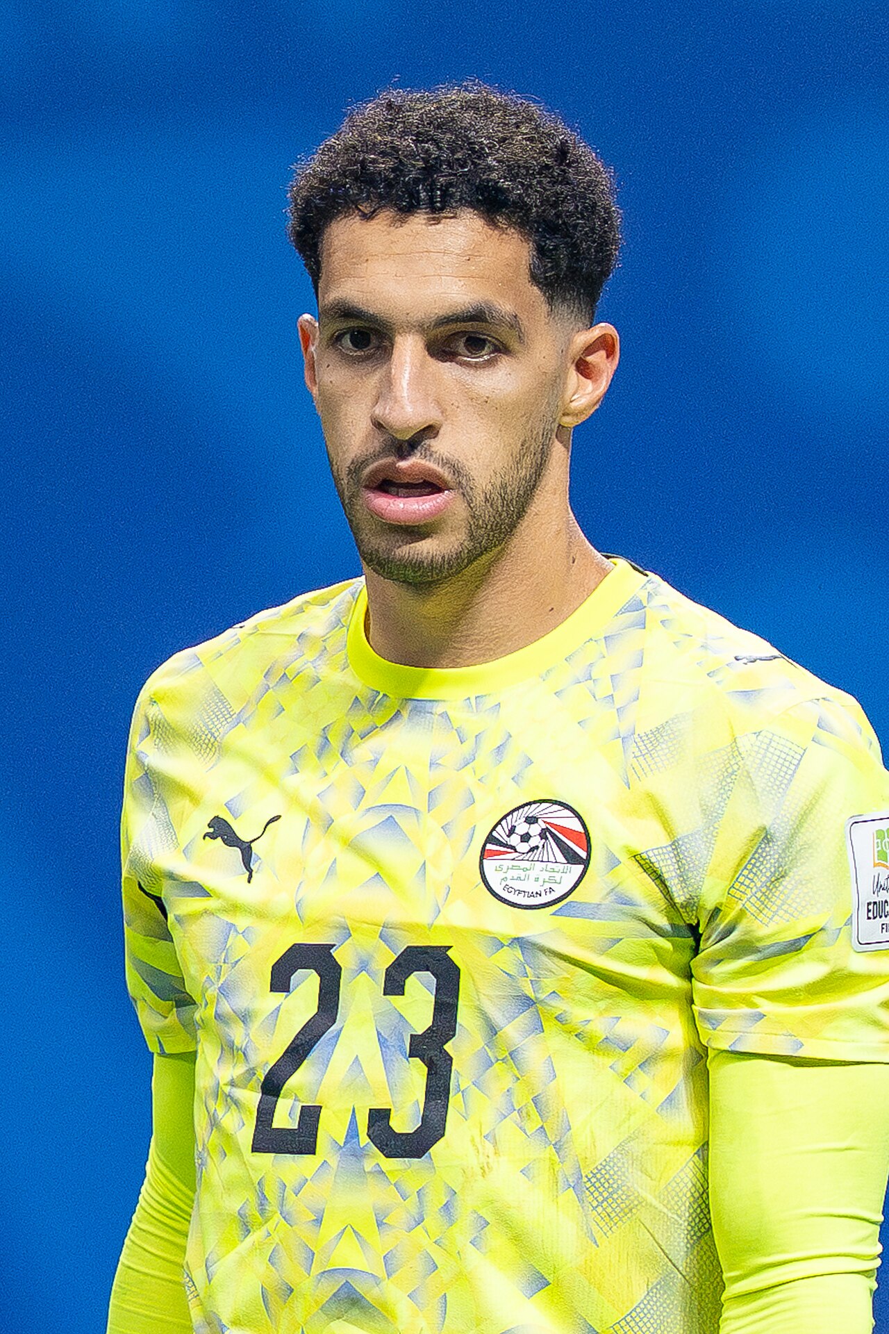 Mostafa Shobeir
