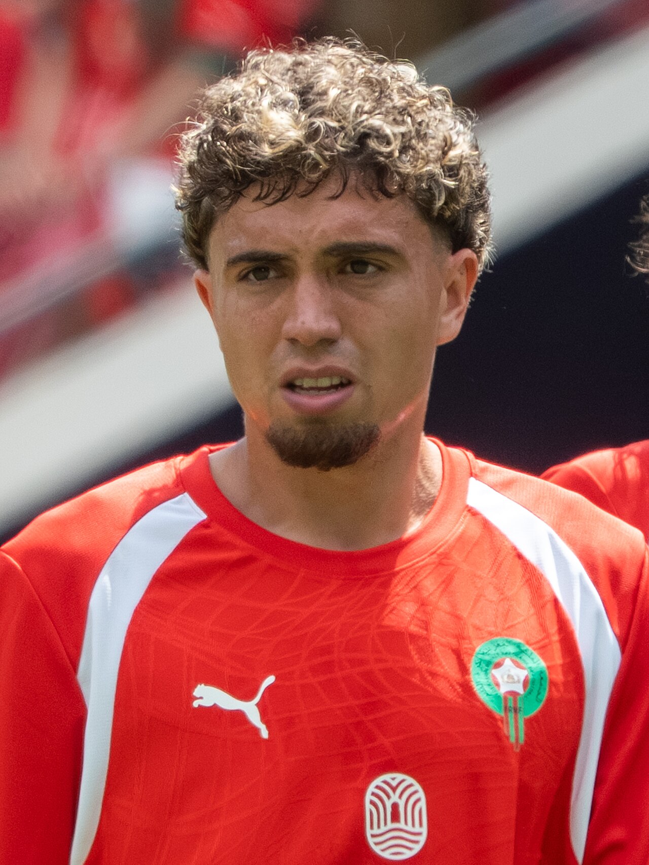 N. El Aynaoui