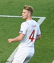 N. Elvedi