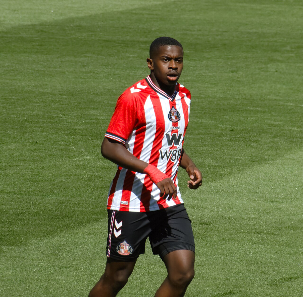 N. Sadiki