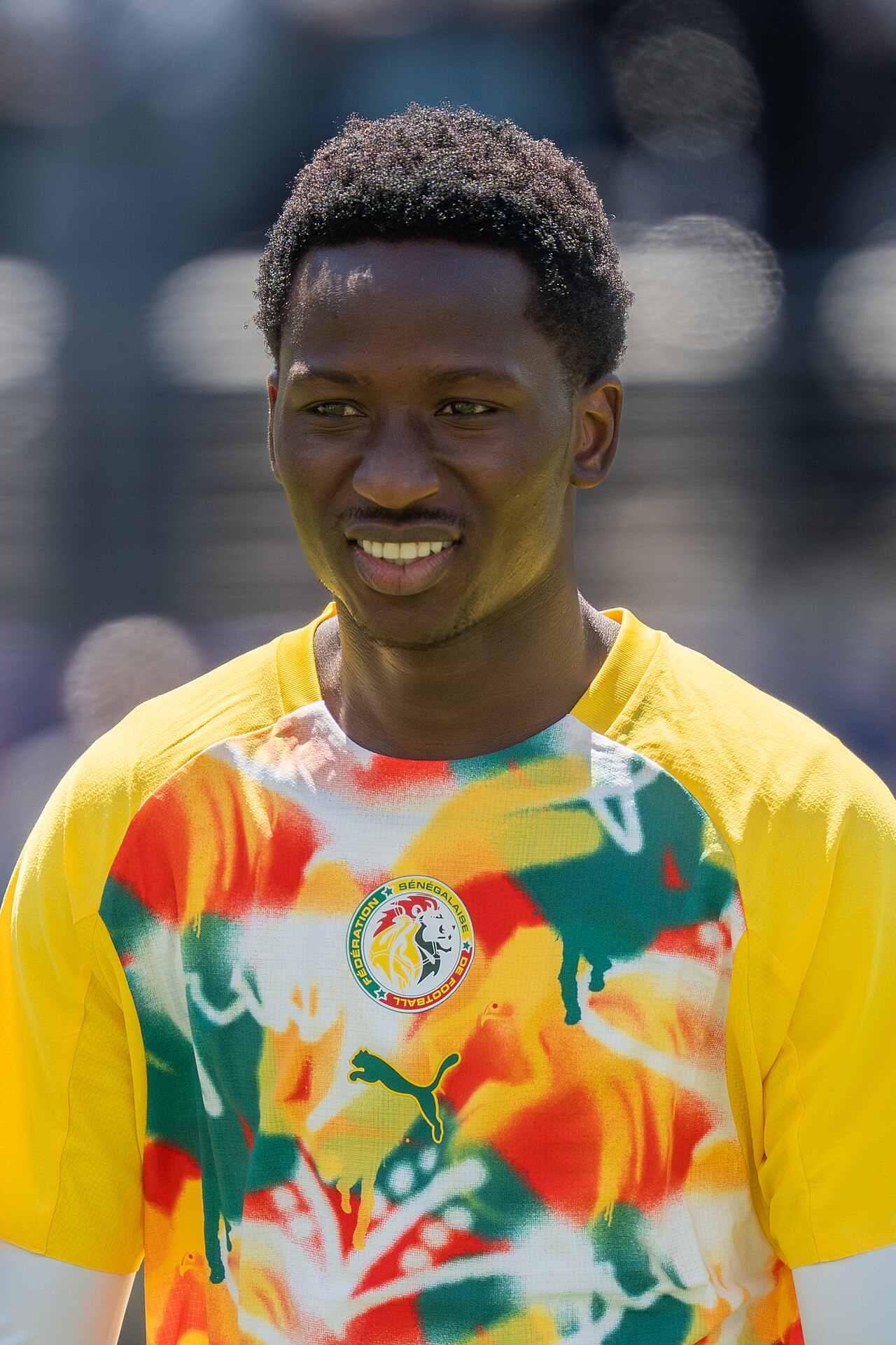 P. Sarr