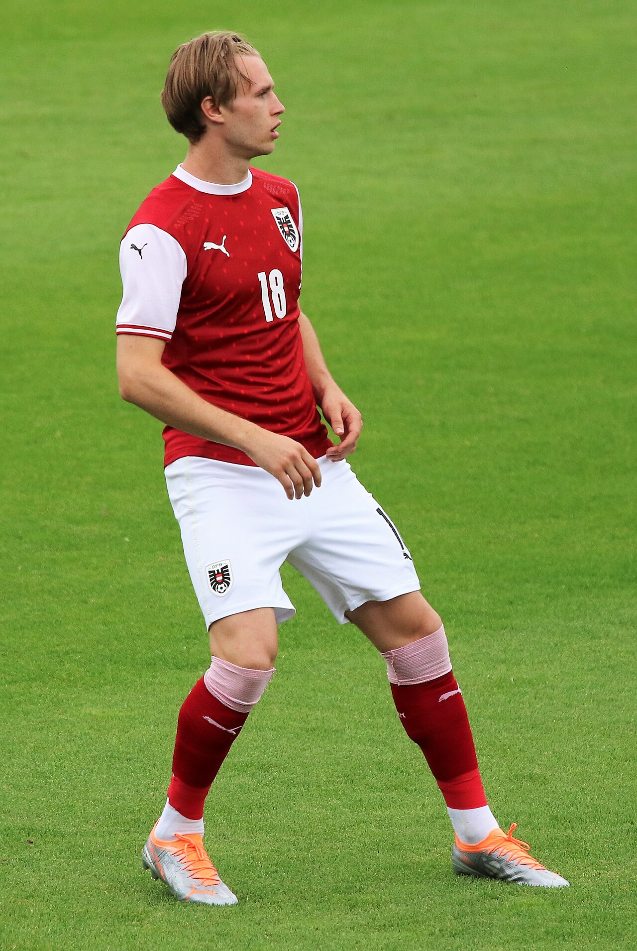 P. Wimmer
