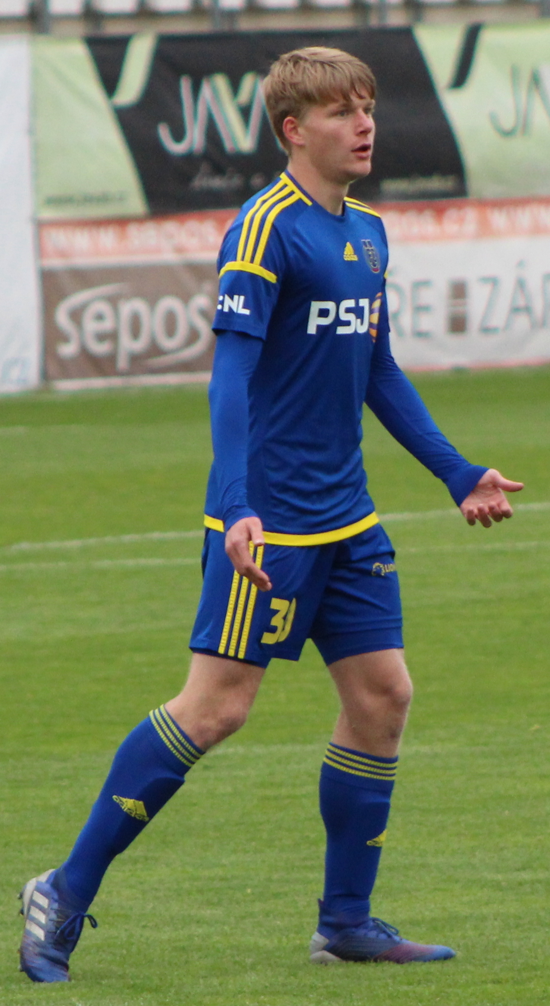 P. Šulc