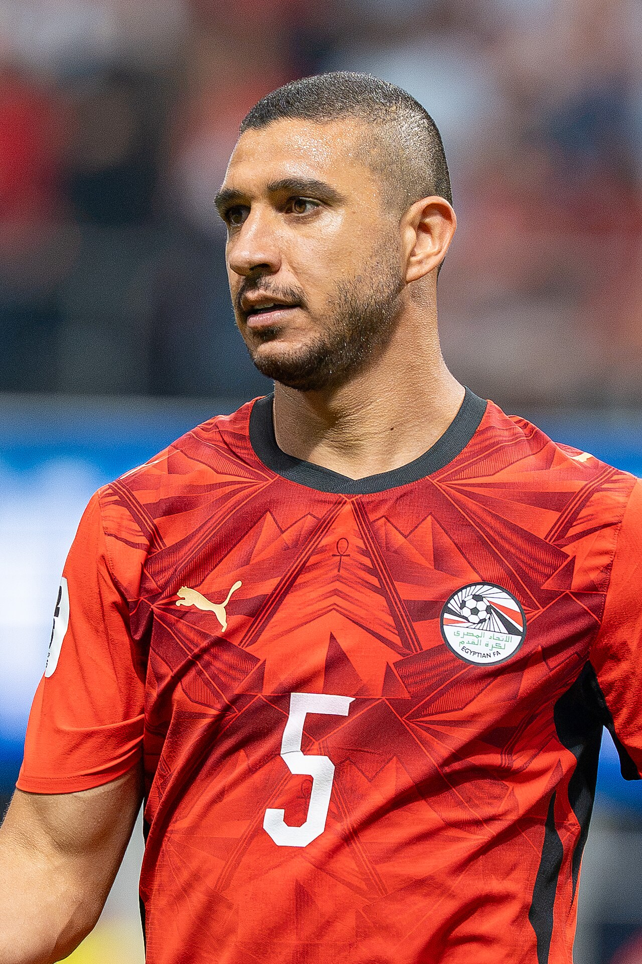 Rami Rabia