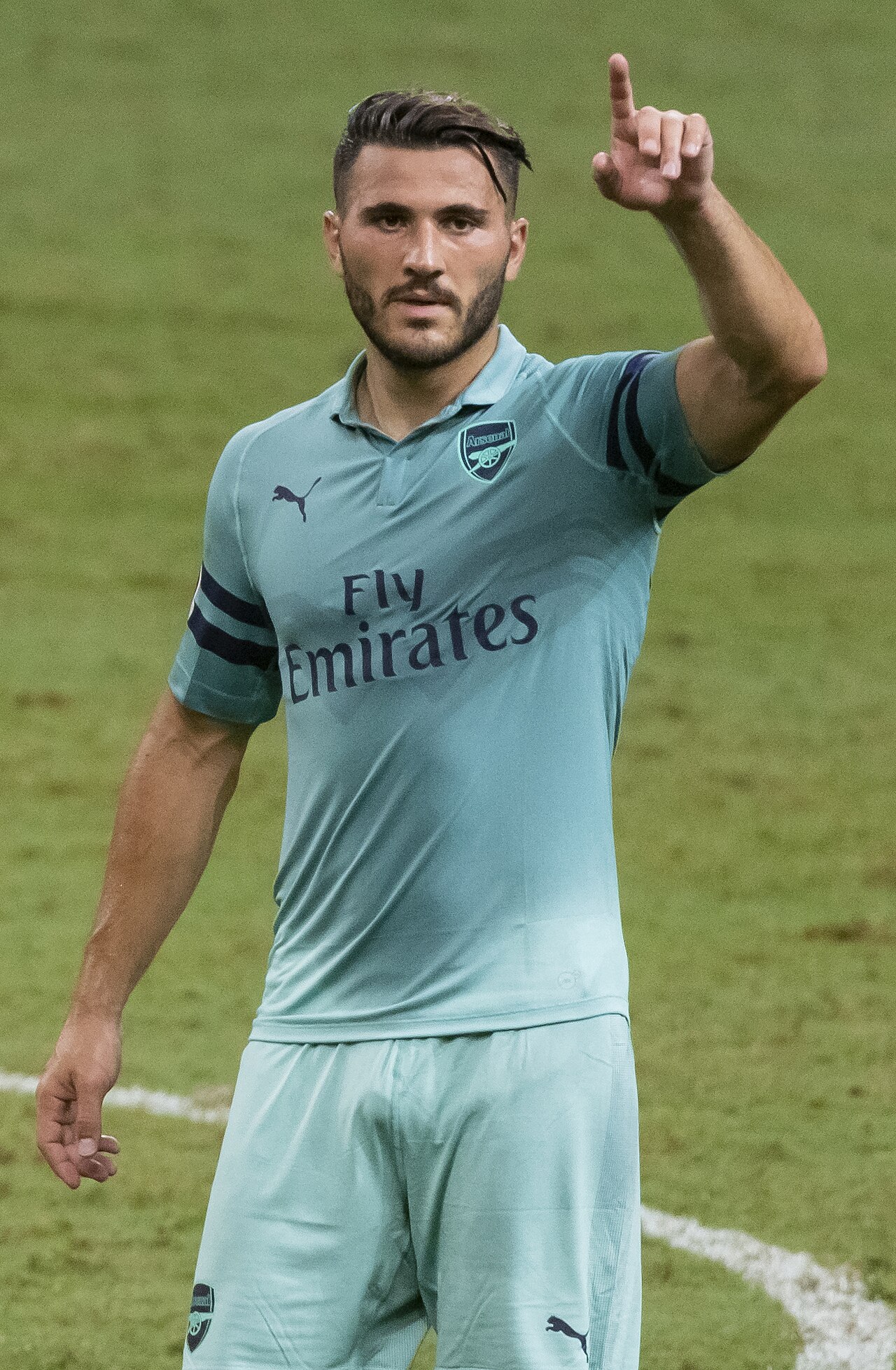 S. Kolašinac