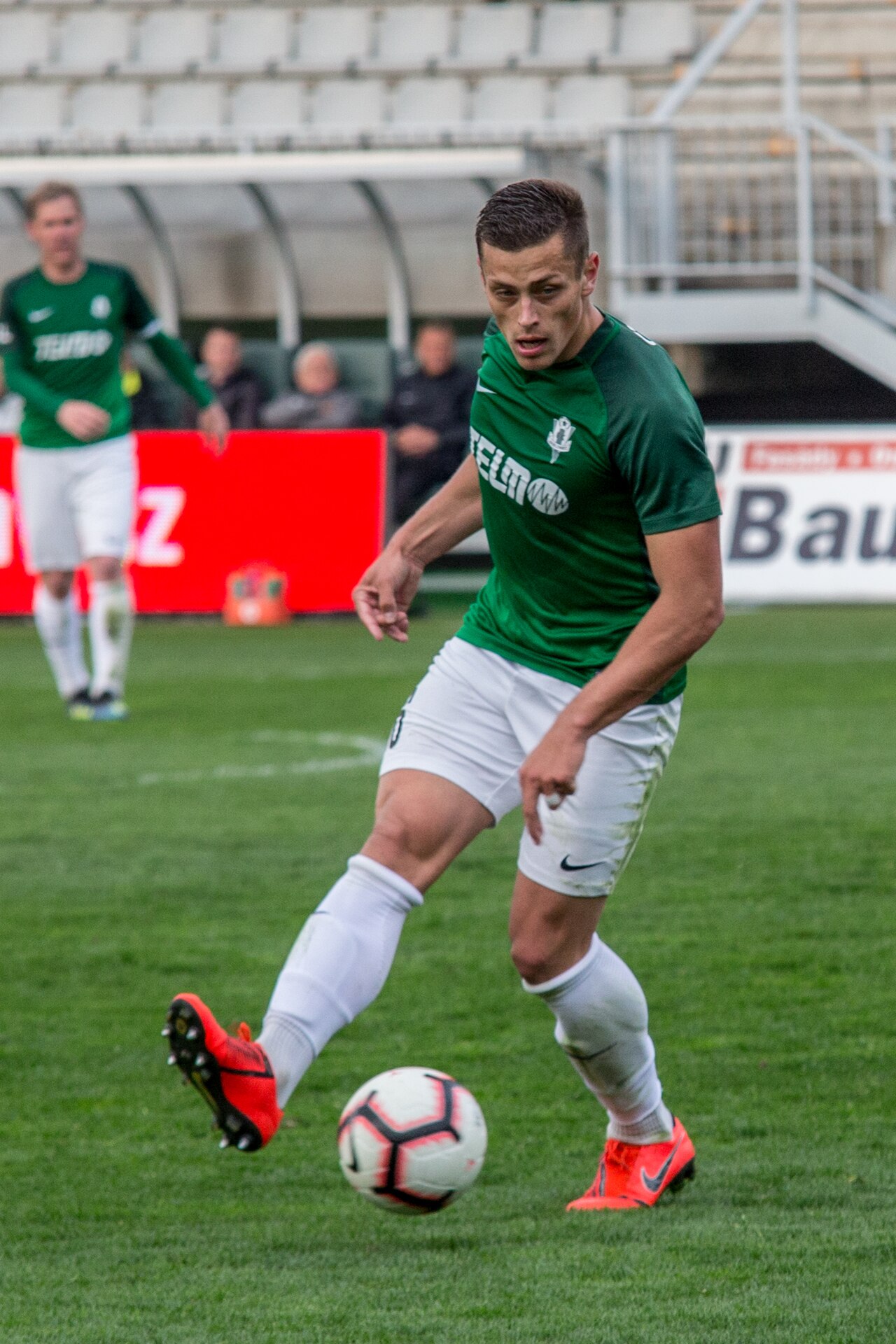T. Holeš